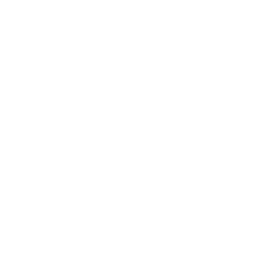 Tempio Logo