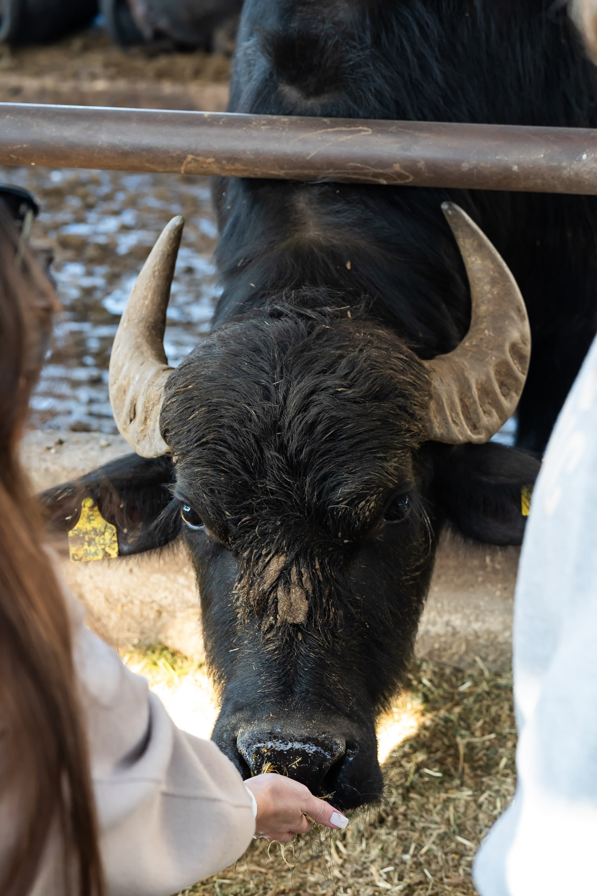 Fattoria Didattica