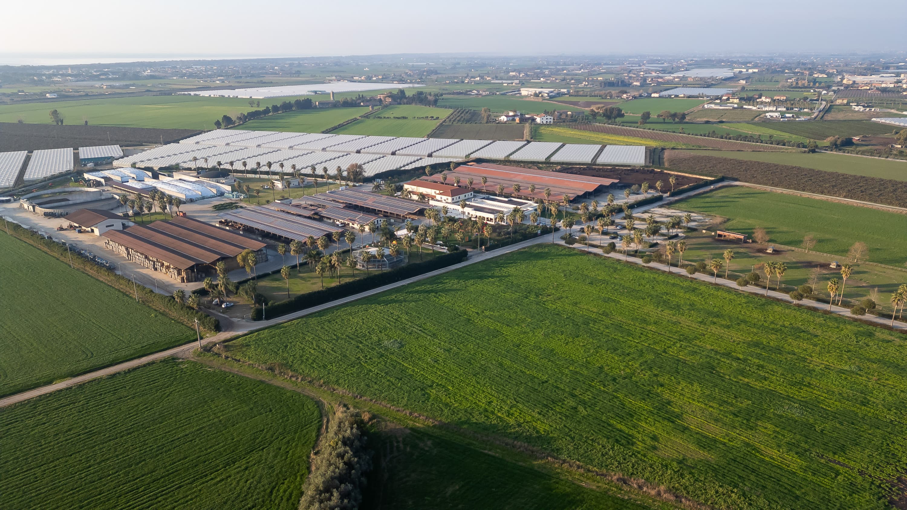 Vista dall'alto dell'Azienda Agricola Tempio